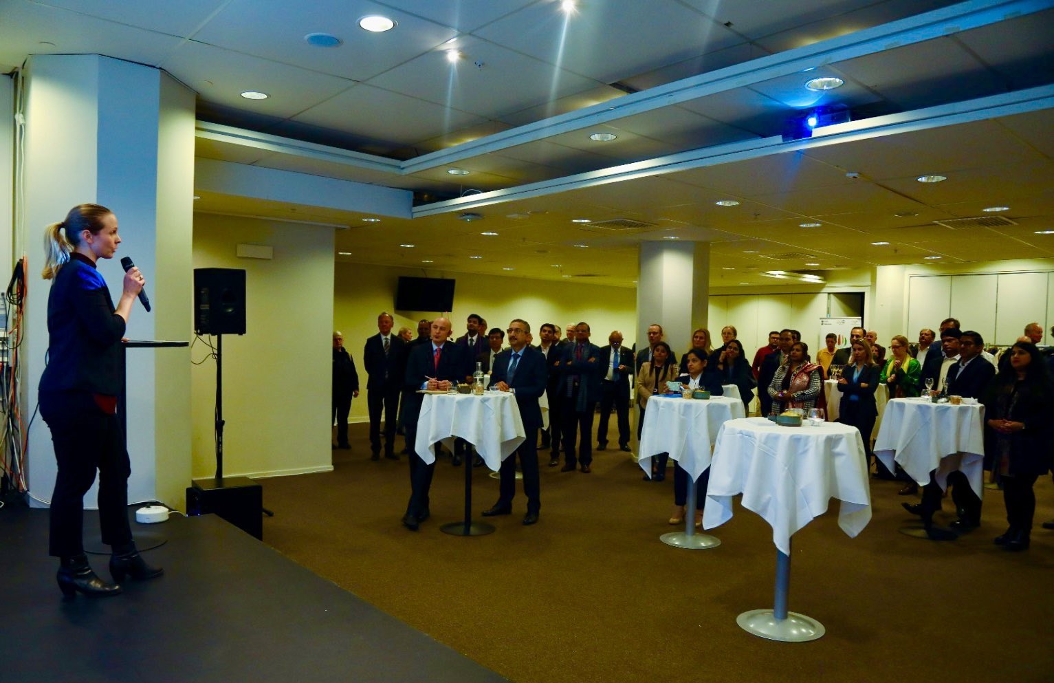 Networking Event - Indian Sectoral Delegation to Sweden (Iron & Steel, Cement, Pulp & Paper)